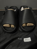 YS-01 Slides