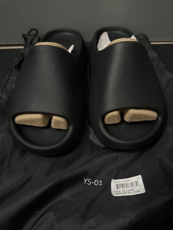 YS-01 Slides